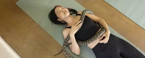 Beyond Puppies: The Rise of Snake Yoga in Portland