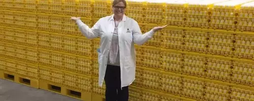 Egg Prices Decline Amidst Avian Flu Recovery and Market Saturation