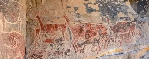 Prehistoric Culinary Sophistication Revealed