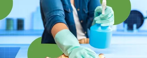 Expert Recommendations for Non-Toxic Household Cleaners