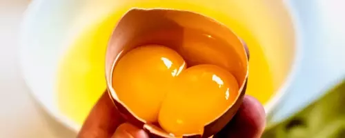 The Enigmatic World of Double-Yolked Eggs