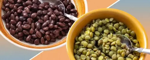 Beans vs. Lentils: Which is Easier to Digest?
