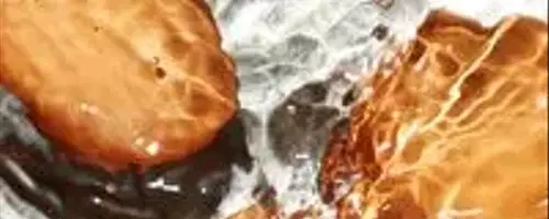 Mastering the Art of Poached Eggs: A Simple Guide