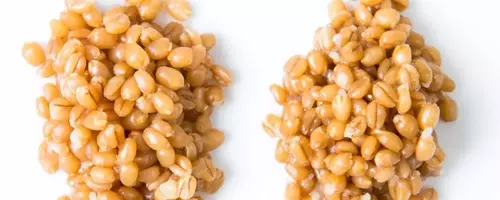 Pressure Cookers and Grains: An Unexpected Outcome