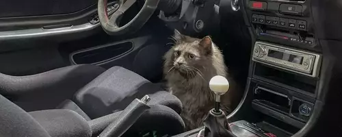 Car and Driver Staff's Beloved Pets