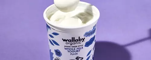 The Ultimate Guide to Greek Yogurt: Unveiling the Best Brands