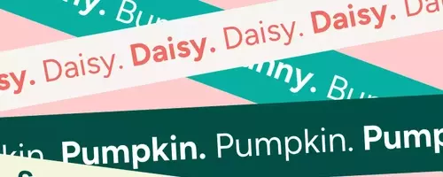 Finding the Perfect Nickname for Your Baby Girl