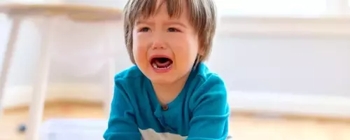 The 'Jessica' Method: A Viral Strategy for Calming Toddler Tantrums