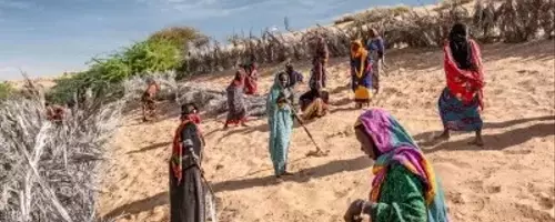 Africa's Great Green Wall: A Grand Vision Facing Formidable Hurdles