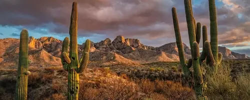 Tucson: The Southwest's Unsung Gem for Travelers