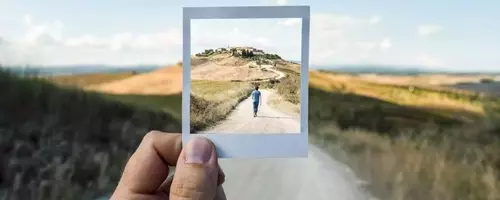 The Brain's Shared Pathways for Seeing and Imagining