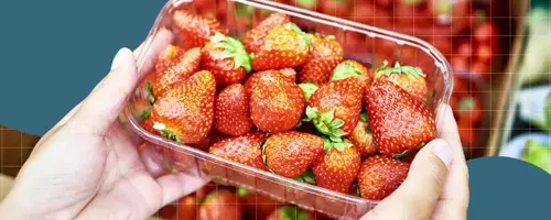 Optimizing Strawberry Freshness: Expert Storage Tips and Essential Tools