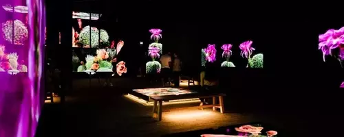 3D Scans Unveil Sonoran Desert's Hidden Life, Informing Conservation Efforts