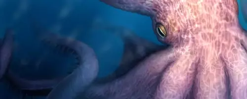 Giant Octopuses Roamed Cretaceous Seas