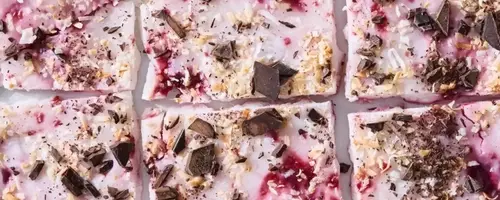 Frozen Raspberry Chocolate Coconut Yogurt Bark