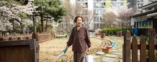 AI's Role in Supporting South Korea's Aging Population
