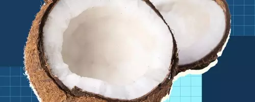 The Comprehensive Guide to Coconuts and Their Culinary Applications