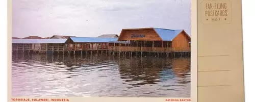 Mangrove Conservation: A Lifeline for Indigenous Fishing Communities in Indonesia