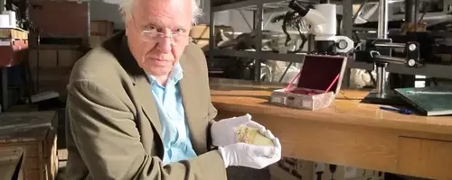 Celebrating Sir David Attenborough's Centennial: A Legacy of Nature and Conservation