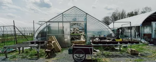 Korean Culinary Masters Establish "First Hand Farm" in Hudson Valley to Cultivate Traditional Ingredients
