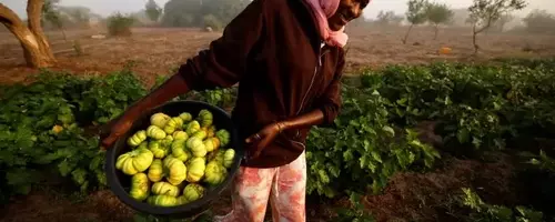 Africa's Path to Food Security: Embracing Agroecology Amidst Fertilizer Crisis