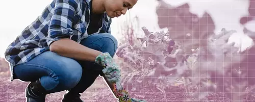 Transforming Your Garden: Innovative Uses for Everyday Food Scraps
