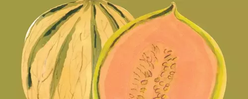Discovering the Diverse World of Summer Melons