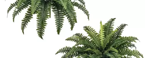 Top Picks: The Most Realistic Artificial Plants on Amazon