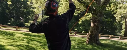 Central Park's Tree Care Team: Unexpected Social Media Stars