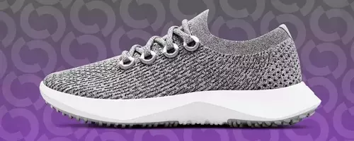 Allbirds Transforms into AI Powerhouse Smartbird, Stock Soars