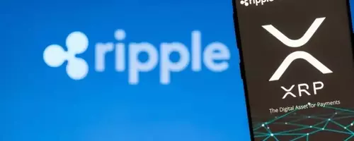 Evernorth CEO Endorses XRP's Potential to Outshine PayPal in Digital Finance