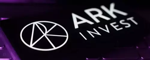 Cathie Wood's Ark Invest Adjusts Portfolio: Significant Moves in Tesla and Roku
