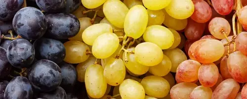 A Comprehensive Guide to Grapes: Varieties, Selection, and Culinary Uses