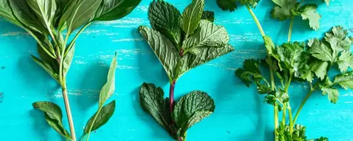 Reviving Wilted Herbs: A Guide to Crafting Flavorful Herb Oils
