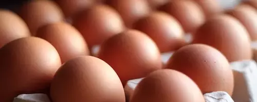 St. Ewe Free Range Eggs Welcomes New Chairman and Non-Executive Directors