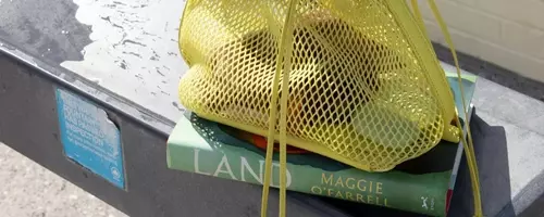 Summer Reading Selection: Stylish Beach Bags for Your Favorite Books