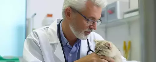 Elanco Animal Health: Poised for Significant Growth with New Blockbuster Products and Strategic Ventures