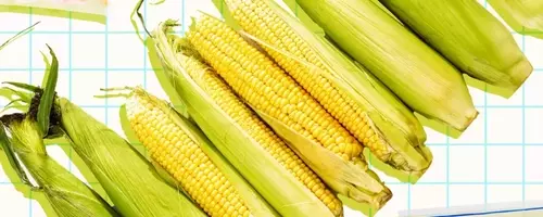 Maximizing Sweetness: The Ultimate Guide to Storing Your Corn