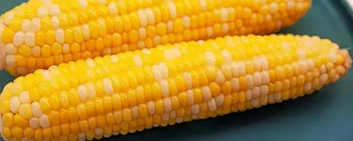 Optimal Corn Cooking: A Guide to Achieving Perfect Texture and Sweetness