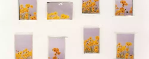 Nico Perez's 'Everything Is Nothing and Nothing Is Everything': A Photographic Journey of Connection and Truth