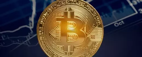 The Resilient Rise of Bitcoin: A Premier Cryptocurrency Choice