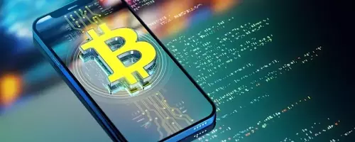 Considering Bitcoin: An Analysis of its Recent Decline and Future Potential