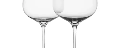 Choosing the Perfect Wine Glass: A Guide to Enhancing Your Drinking Experience