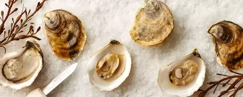 The Art of Mignonette: Enhancing Your Oyster Experience