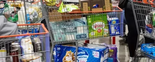 Costco and Walmart Dominate Grocery Market Amid Shifting Consumer Habits