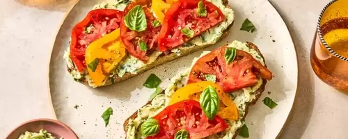 Quick and Fresh Tomato Recipes for Any Meal
