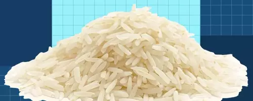 The Comprehensive Guide to Basmati Rice: Cultivation, Selection, and Culinary Applications