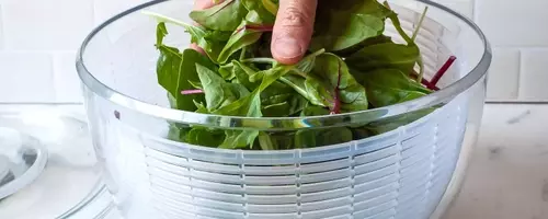 The Ultimate Guide to Salad Spinners: Reviews and Top Picks