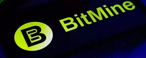 Bitmine Reduces Ethereum Acquisition Amidst Stock Buyback Initiative
