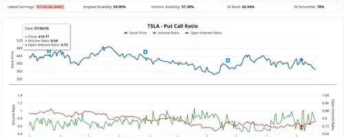 Expert Predicts Tesla Stock Decline, Options Market Reacts with Massive Bet